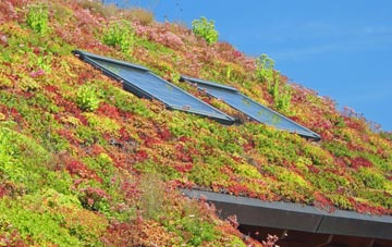 Ompton living roof systems