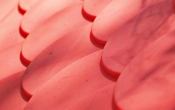 Ompton plastic roof costs